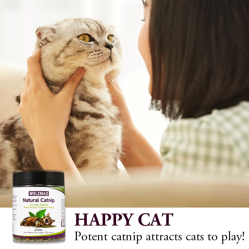 猫のおもちゃ - 猫用マタタビマタタビ、100% 天然マタタ - Herbal Wellness Supplement のレビューと価格