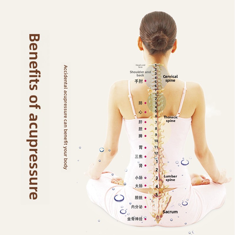シルク製ハンドヘルドハーブハンマー 健康とウェルネスのための - Herbal Wellness Massage のレビューと価格